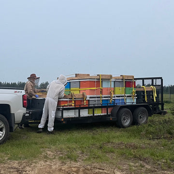 Pourquoi utiliser nos services de pollinisation?