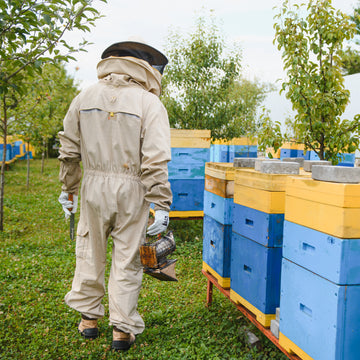 Parrainage d'une ruche