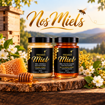 Miel cru ou non pasteurisé
