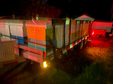 Pourquoi utiliser nos services de pollinisation?