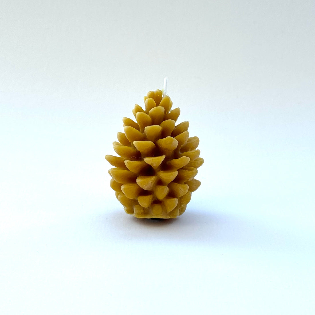 Chandelle Pomme de pin en cire d’abeille naturelle – Premier Miel