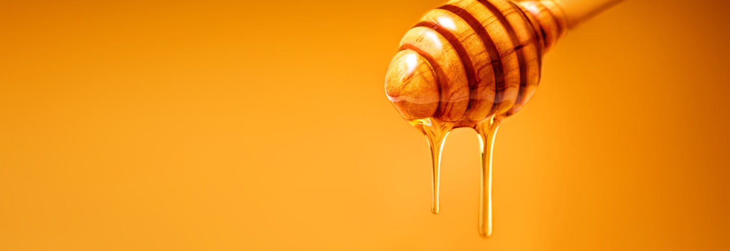collection-banner-image